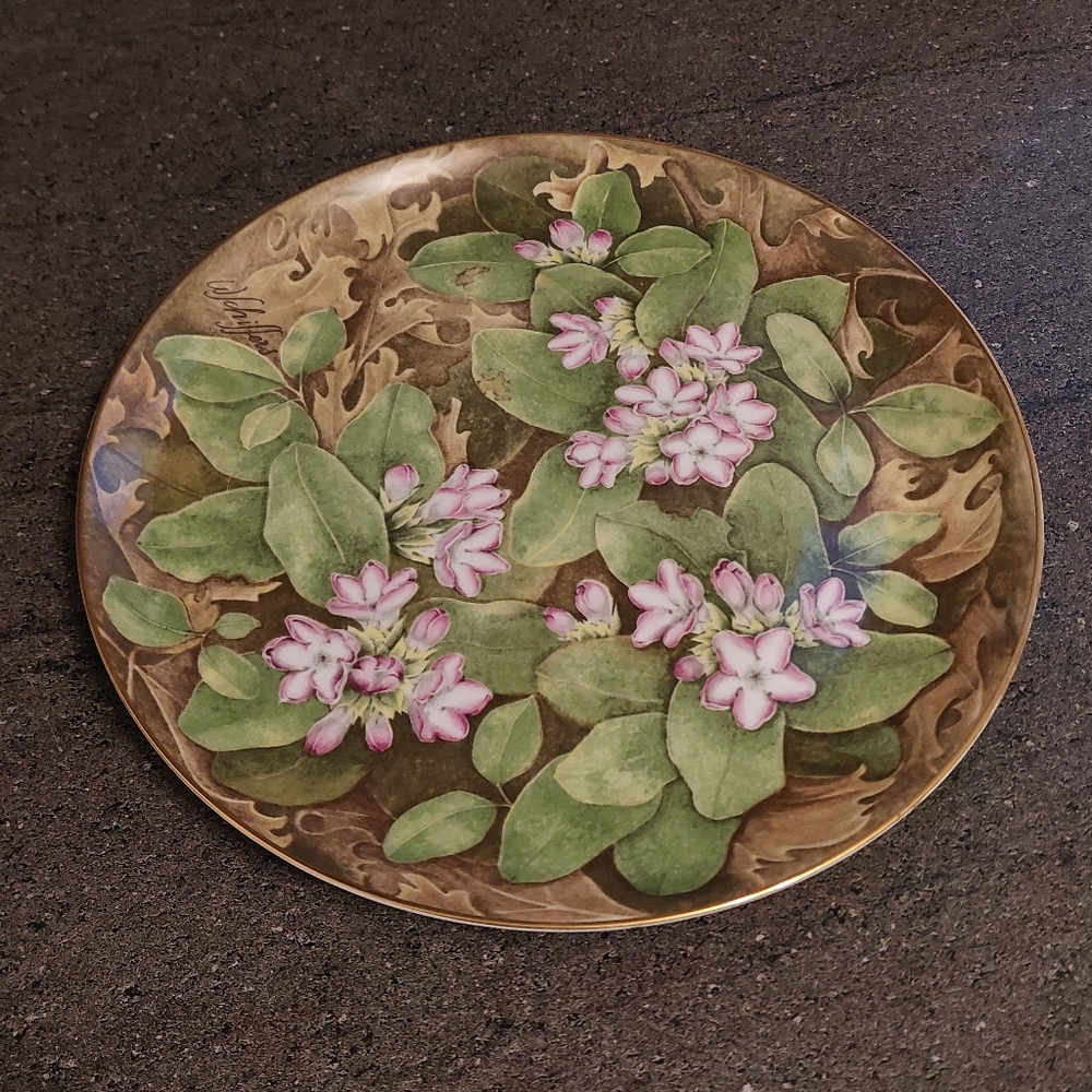 Nova Scotia Mayflower Sunrise Bone China Collector Plate Provincial Flower